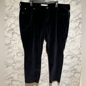Slink Velvet Cropped Jeans